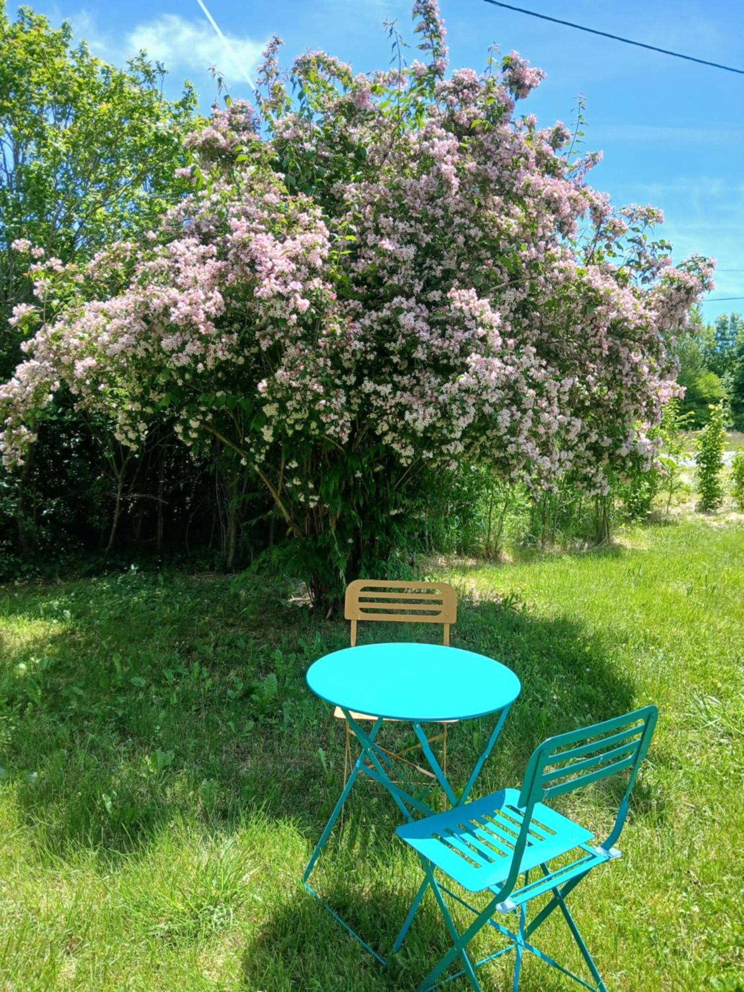 Les Gites Du Saro Chabestan Luaran gambar